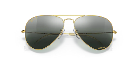 AVIATOR POLARIZED+ LENSES