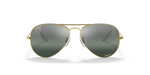 AVIATOR POLARIZED+ LENSES