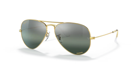 AVIATOR POLARIZED+ LENSES