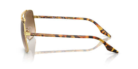 RB3699