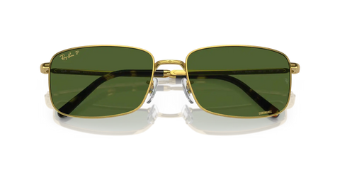 RB3717 POLARIZED+ LENSES