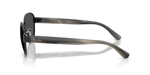 RB3766 POLARIZED+ LENSES