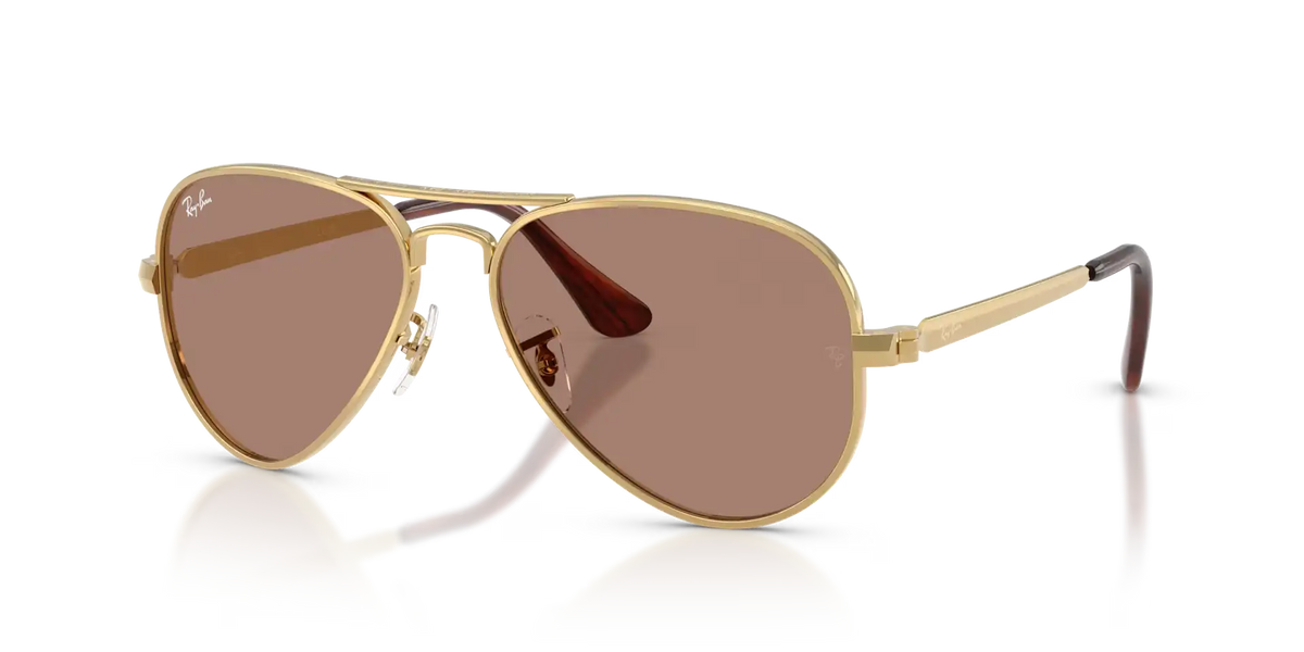 AVIATOR MAX HOLIDAY LIMITED