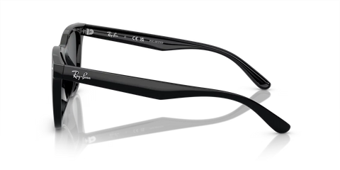 RB4391D