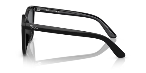 RB4401D