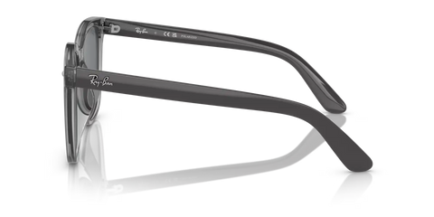RB4401D