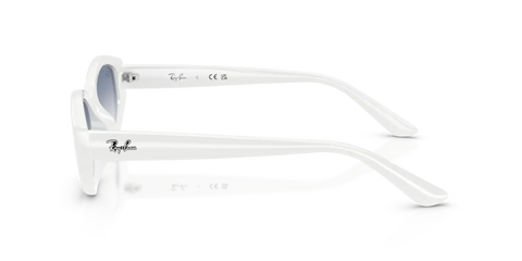 RB4473D