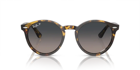 LARRY POLARIZED+ LENSES