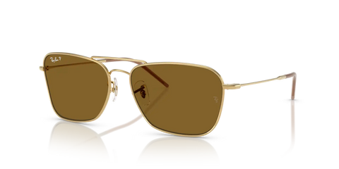 CARAVAN REVERSE