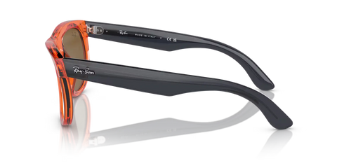 WAYFARER REVERSE