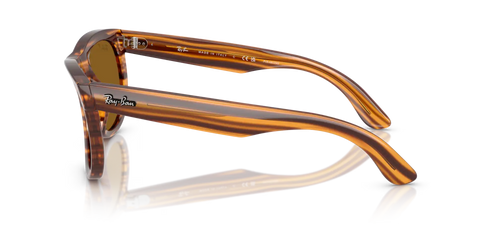 WAYFARER REVERSE