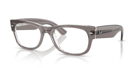 MEGA WAYFARER II OPTICS