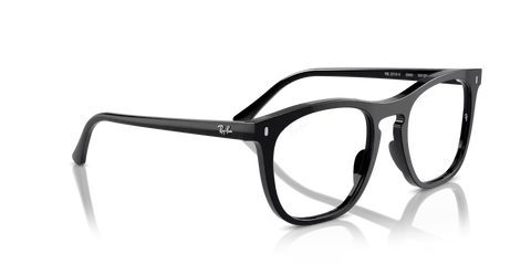 RB2210V OPTICS