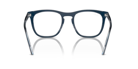 RB2210V OPTICS
