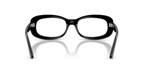 RB2221V OPTICS