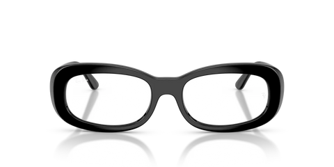 RB2221V OPTICS