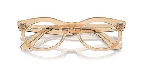 WAYFARER OVAL OPTICS CHANGE