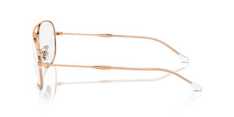 BAIN BRIDGE OPTICS