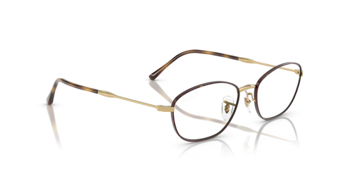 RB3749V OPTICS