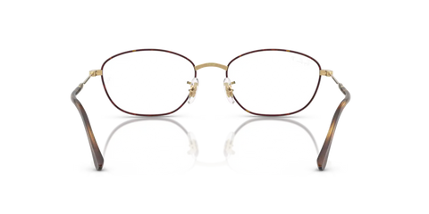 RB3749V OPTICS