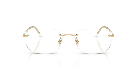 RB3768V OPTICS