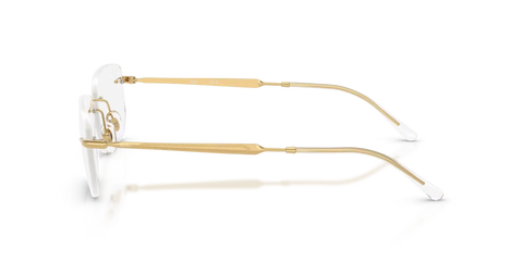 RB3768V OPTICS
