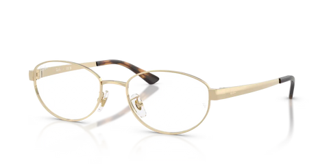 RB3774D OPTICS