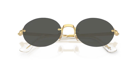 RB3929V OPTICS BY A$AP ROCKY