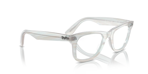 WAYFARER EASE OPTICS CHANGE