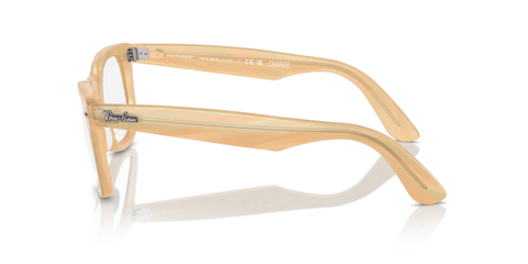 WAYFARER EASE OPTICS CHANGE