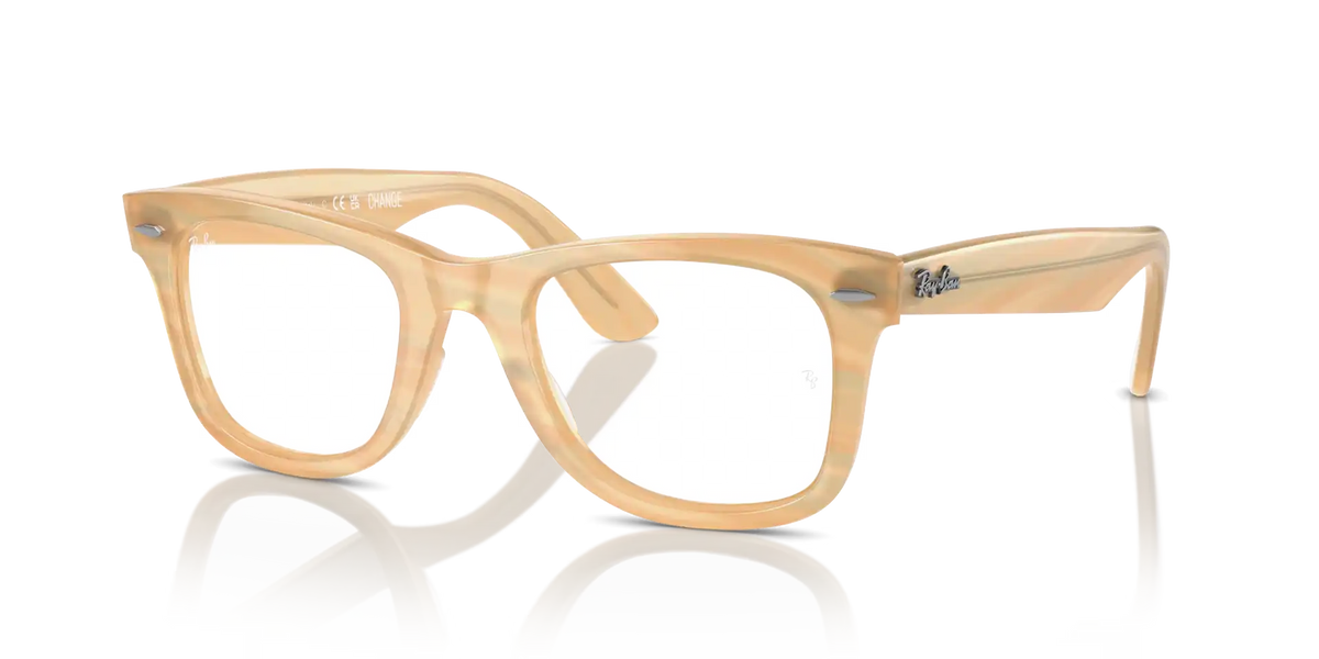 WAYFARER EASE OPTICS CHANGE