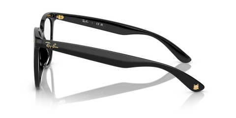 RB4379D OPTICS YEAR OF THE DRAGON EDITION
