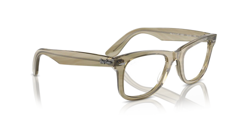 ORIGINAL WAYFARER OPTICS CHANGE