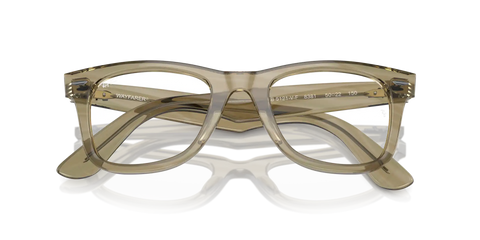 ORIGINAL WAYFARER OPTICS CHANGE