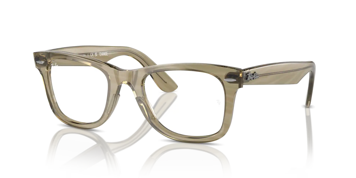 ORIGINAL WAYFARER OPTICS CHANGE