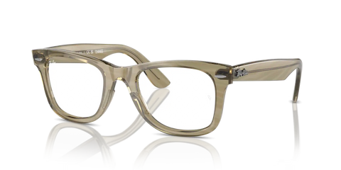 ORIGINAL WAYFARER OPTICS CHANGE