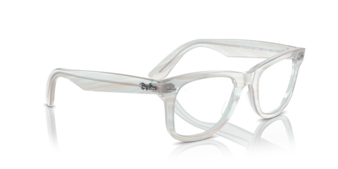 ORIGINAL WAYFARER OPTICS CHANGE