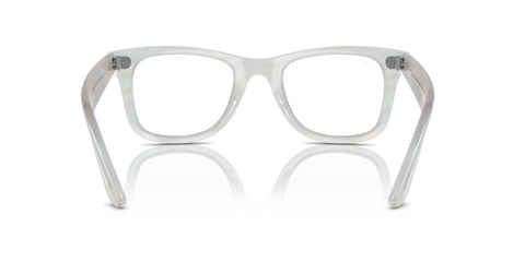 ORIGINAL WAYFARER OPTICS CHANGE