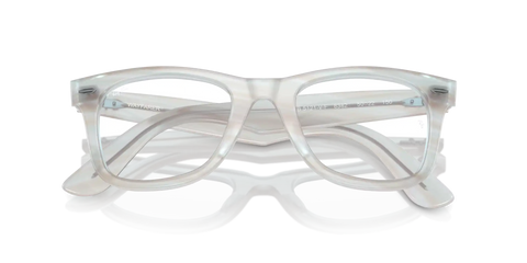 ORIGINAL WAYFARER OPTICS CHANGE