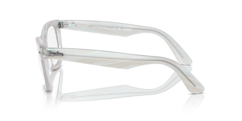 ORIGINAL WAYFARER OPTICS CHANGE