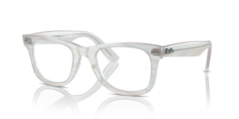 ORIGINAL WAYFARER OPTICS CHANGE