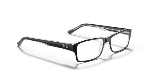 RB5169 OPTICS