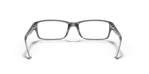 RB5169 OPTICS