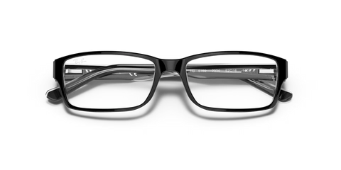 RB5169 OPTICS