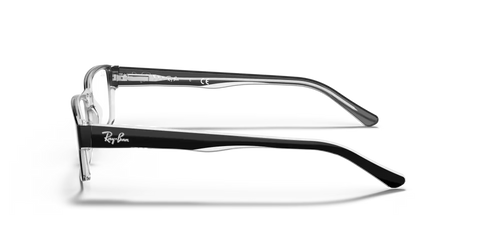 RB5169 OPTICS