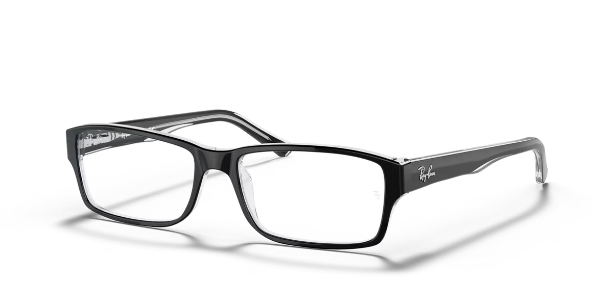 RB5169 OPTICS