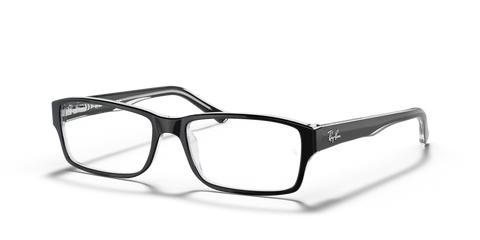 RB5169 OPTICS
