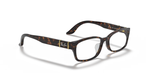 RB5198 OPTICS