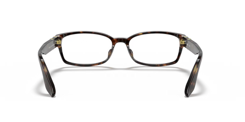 RB5198 OPTICS