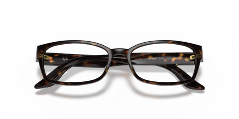 RB5198 OPTICS